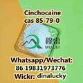 Chemical Cinchocaine Powder cas 85-79-0