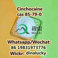 Chemical Cinchocaine Powder cas 85-79-0 China Direct Sales 