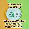 Chemical Cinchocaine Powder cas 85-79-0 China Direct Sales  2