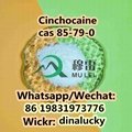 Chemical Cinchocaine Powder cas 85-79-0 China Direct Sales  3