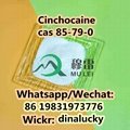 Chemical Cinchocaine Powder cas 85-79-0 China Direct Sales  4