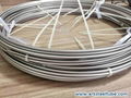 Stainless Steel Coil Tubing ASTM A269 TP304 TP304L TP316L TP321 Coiled Tube 3