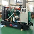 Huaquan 75kw Gas Generator Three Phase 220v Electric Water Cooled 3