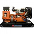 Huaquan 40kw Ricardo diesel genset brushless generator 50hz 220v alternator 3