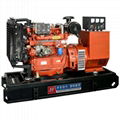 Huaquan 40kw Ricardo diesel genset brushless generator 50hz 220v alternator 4