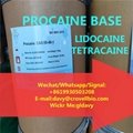 Pure Procaine base powder cas 59-46-1 from chinese factory 3