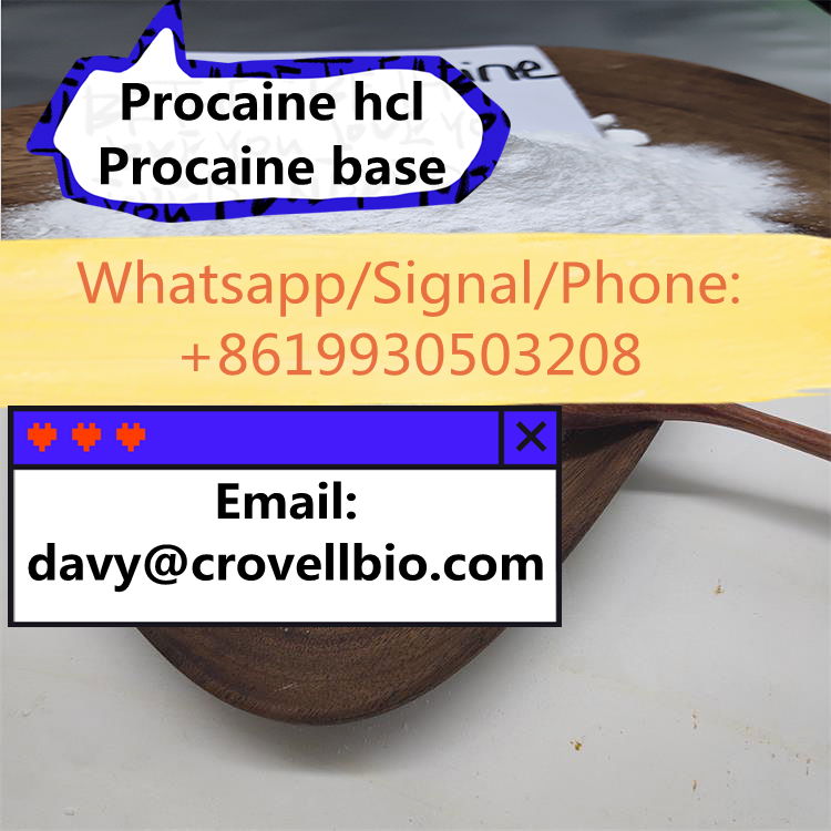 procaine base powder and procaine hcl powder supplier