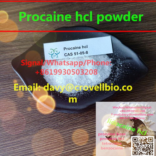 procaine base powder and procaine hcl powder supplier 3