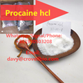 find base procaine hcl china supplier