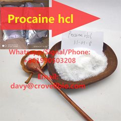 find base procaine hcl china supplier +8619930503208
