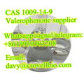 China factory Valerophenone cas