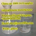 High quality cas 1009-14-9 99% valerophenone in stock
