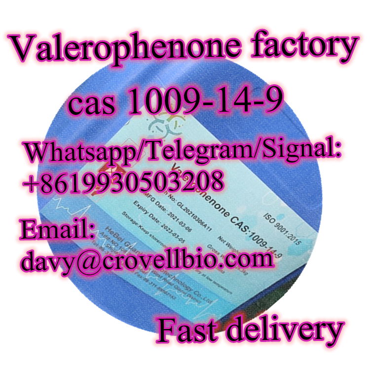 valerophenone supplier cas 1009-14-9 manufacturer 