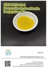 CAS 10592-13-9 Doxycycline hydrochloride powder in stock
