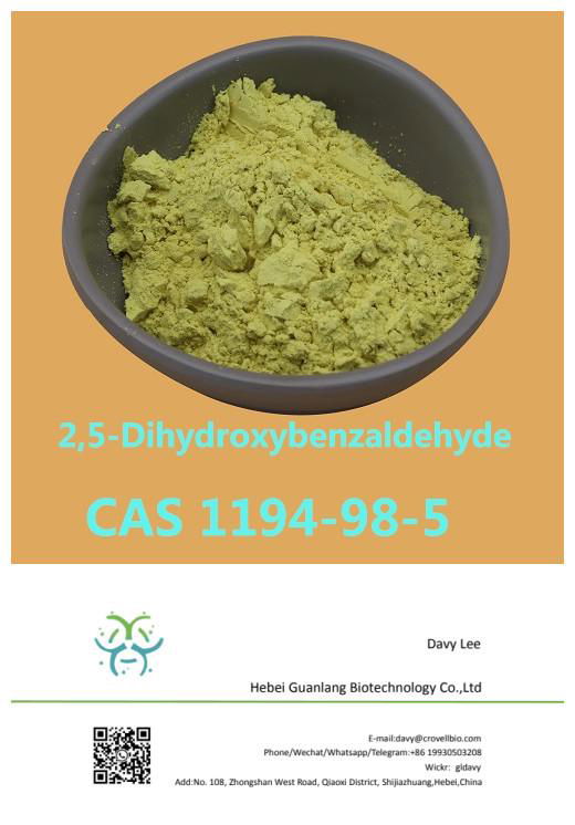 Wholesale price 2,5-Dihydroxybenzaldehyde factory CAS 1194-98-5 2