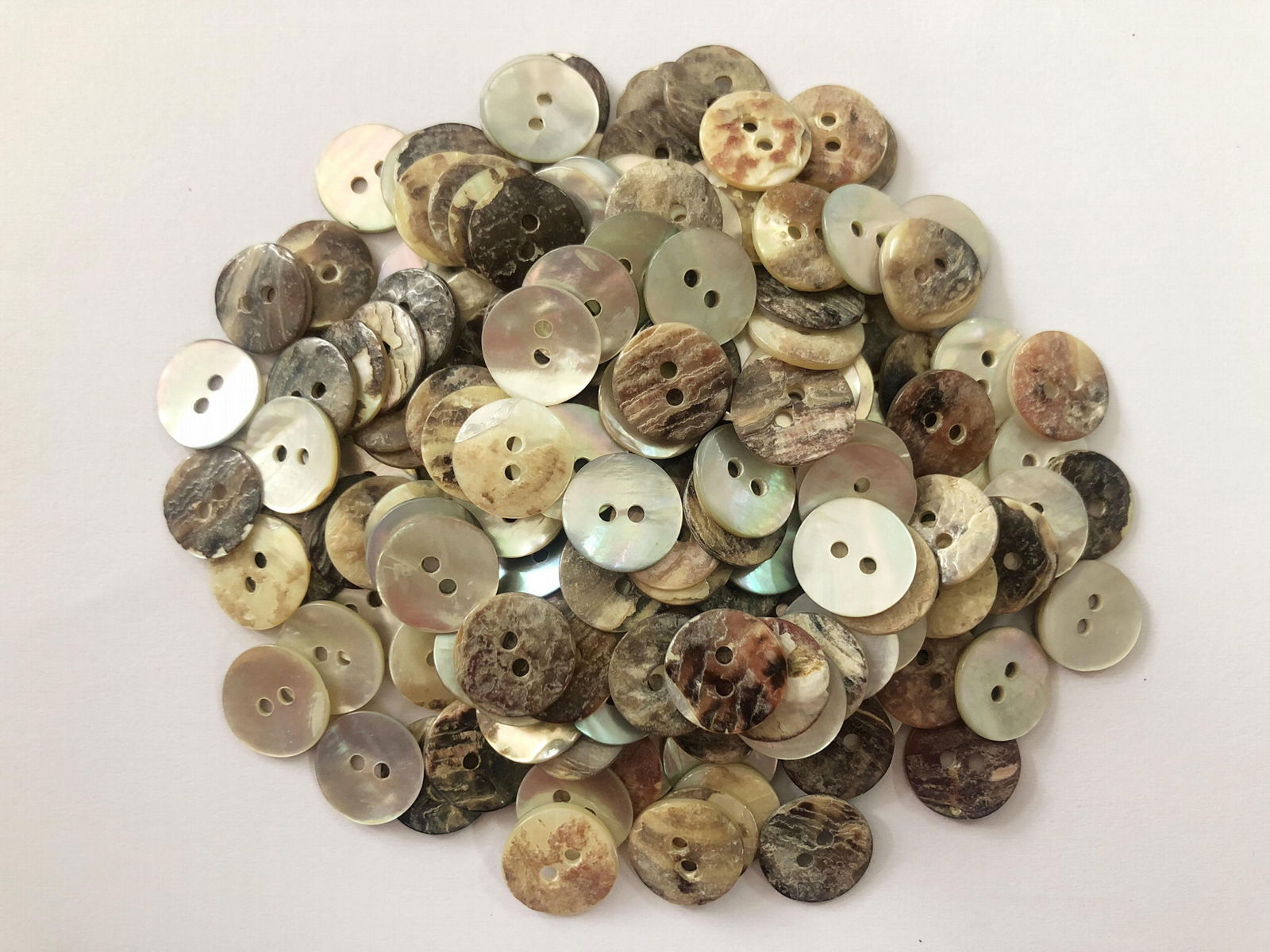 Akoya shells buttons Natural buttons 18L 2