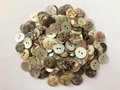 Akoya shells buttons Natural buttons 18L