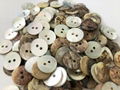 Akoya shells buttons Natural buttons 18L 3