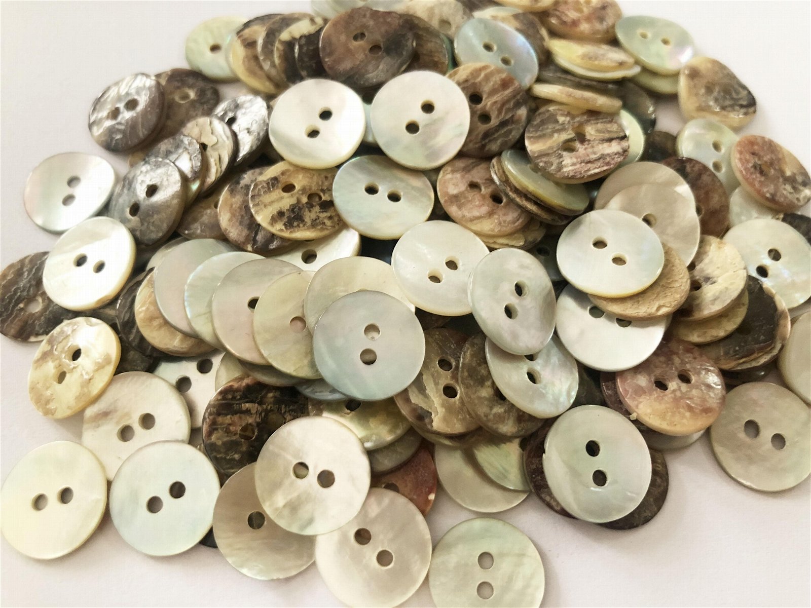 Akoya shells buttons Natural buttons 18L 4