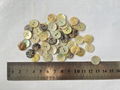 Natural Agoya Shell Button T3 quality in