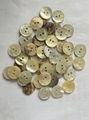 Natural Agoya Shell Button T3 quality in stock 3