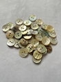 Natural Agoya Shell Button T3 quality in stock 4