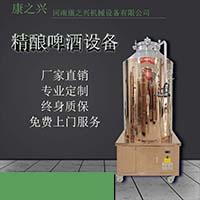 500L啤酒發酵罐