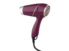 Foldable (Dual Voltage) Hair Dryer