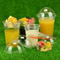 16oz Pet Cup Logo Disposable Cold Plastic Cup 3