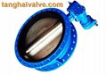 U type flange butterfly valve 1