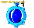 Double eccentric butterfly valve 1