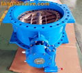 Double eccentric butterfly valve 2