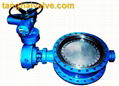 Double eccentric butterfly valve 3