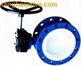 Double eccentric butterfly valve 5