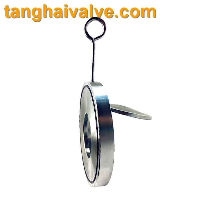 Single-disc swing check valve 5