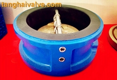 Dual plate swing check valve