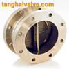 Dual plate swing check valve 5