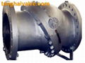 Tilting disc swing check valve 2