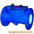 Tilting disc swing check valve 3