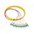 12 core FC APC fiber optic pigtail,