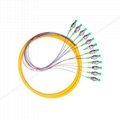 12 core FC APC fiber optic pigtail, bundled optical fiber pigtail 0.9mm 2
