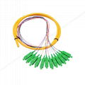 12 core SC APC bundled optical fiber pigtail 0.9mm 3