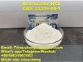 Benzocaine hydrochloride powder China supplier 100% pass UK/CA custom