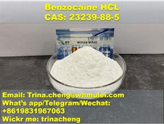 Benzocaine hydrochloride powder China supplier 100% pass UK/CA custom