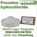 Supply 99% Procaine Hydrochloride Procaine HCl CAS 51-05-8 Raw Powder     1