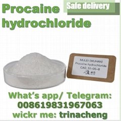 Supply 99% Procaine Hydrochloride Procaine HCl CAS 51-05-8 Raw Powder    