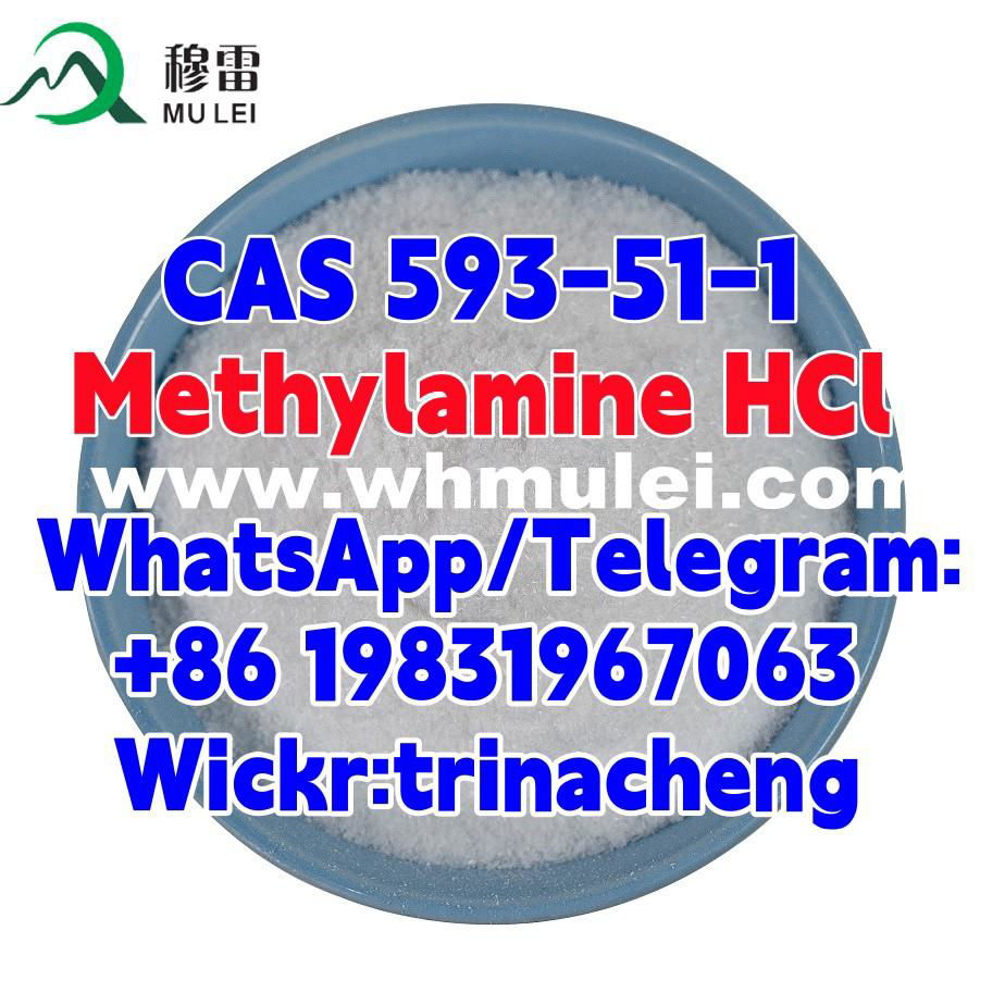 Sell raw powder CAS 593-51-1 Methylamine HCl / Methylamine hydrochloride