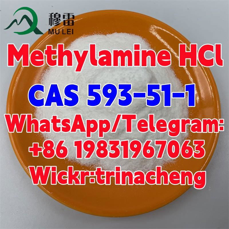 Sell raw powder CAS 593-51-1 Methylamine HCl / Methylamine hydrochloride 2