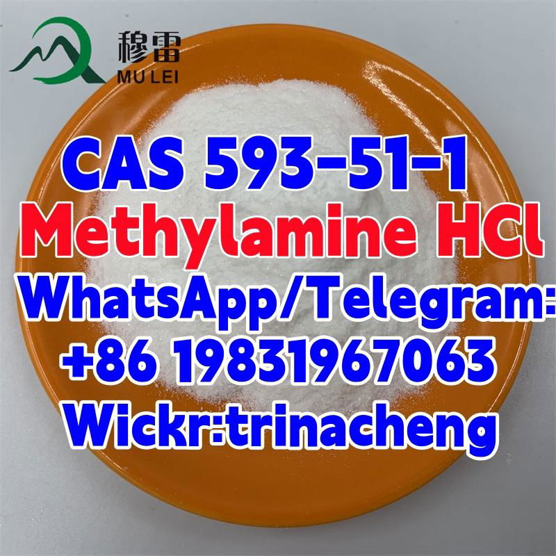 Sell raw powder CAS 593-51-1 Methylamine HCl / Methylamine hydrochloride 3