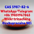 High Quality Benoxinate Hydrochloride / Oxybuprocaine HCl CAS 5987-82-6 1